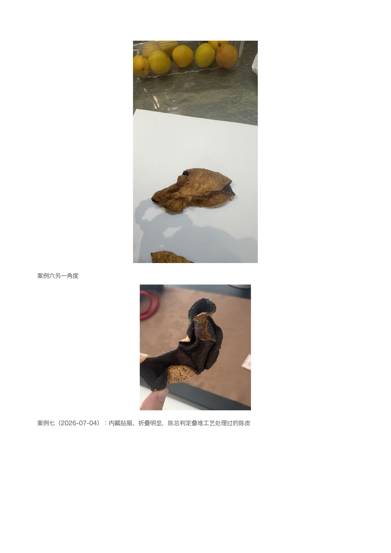 陈皮辨别 第 6 页