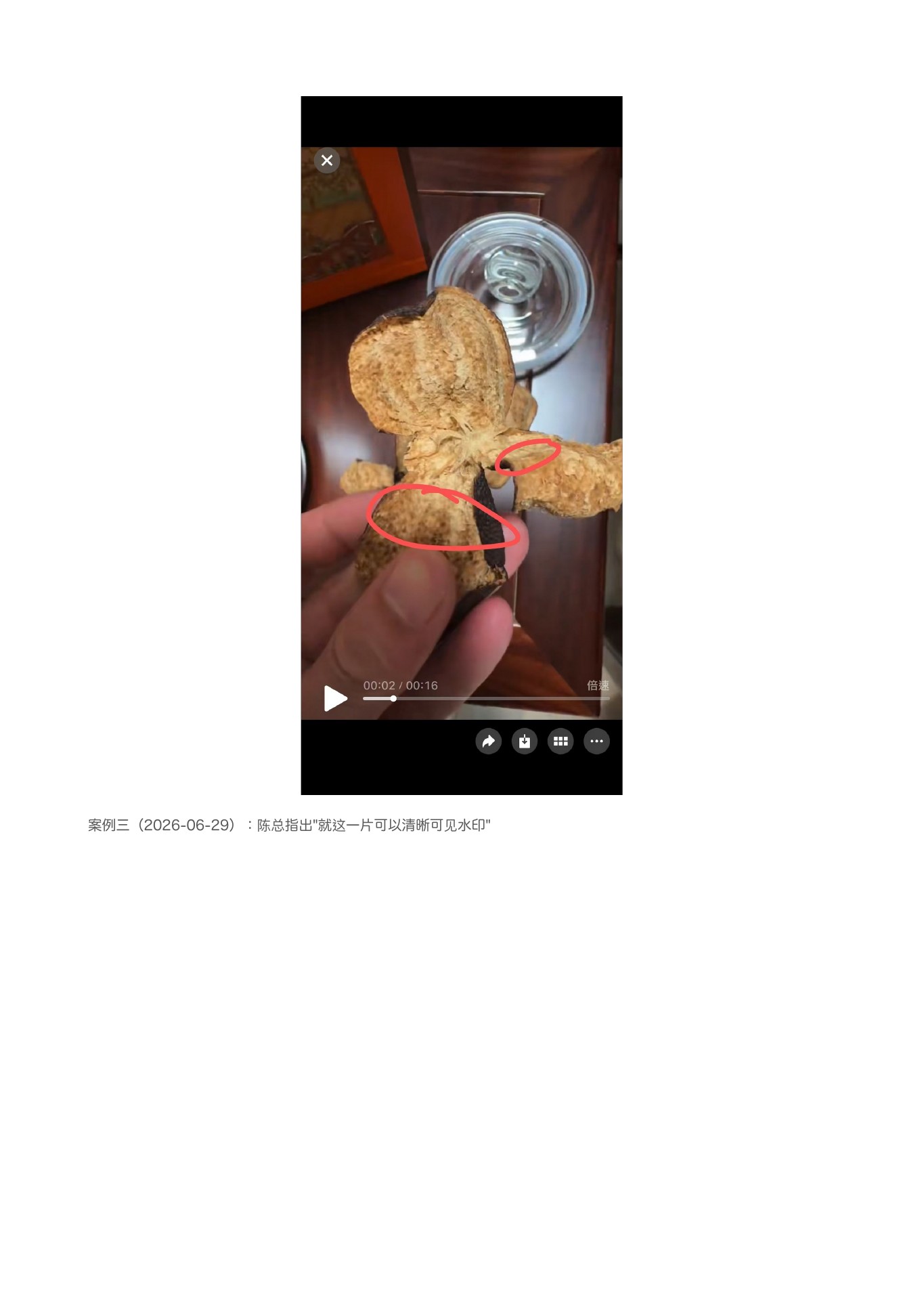 陈皮辨别 第 16 页